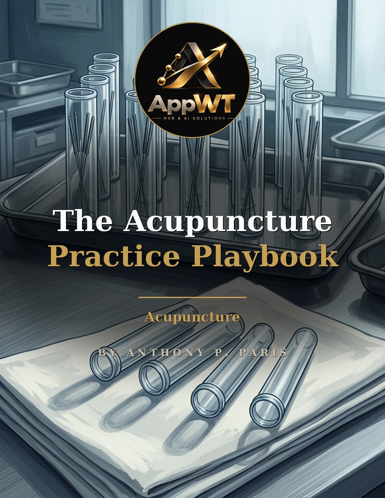 The Acupuncture Practice Playbook front cover