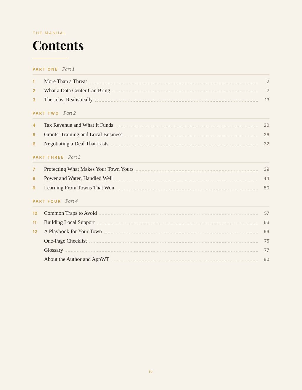 The Small-Town AI Opportunity, preview page 7